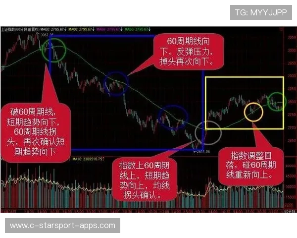 战术执行成功案例分析