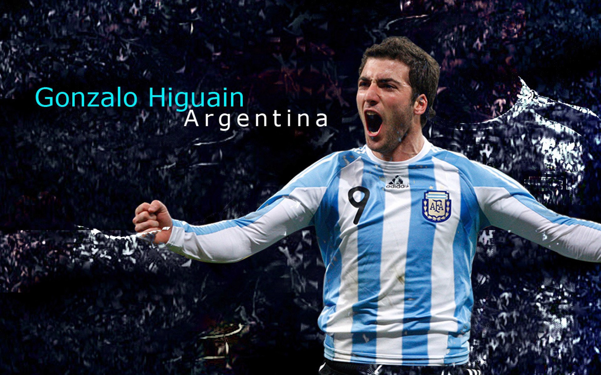 “阿根廷美洲狮队稳步前行,目标瞄准橄榄球未来”